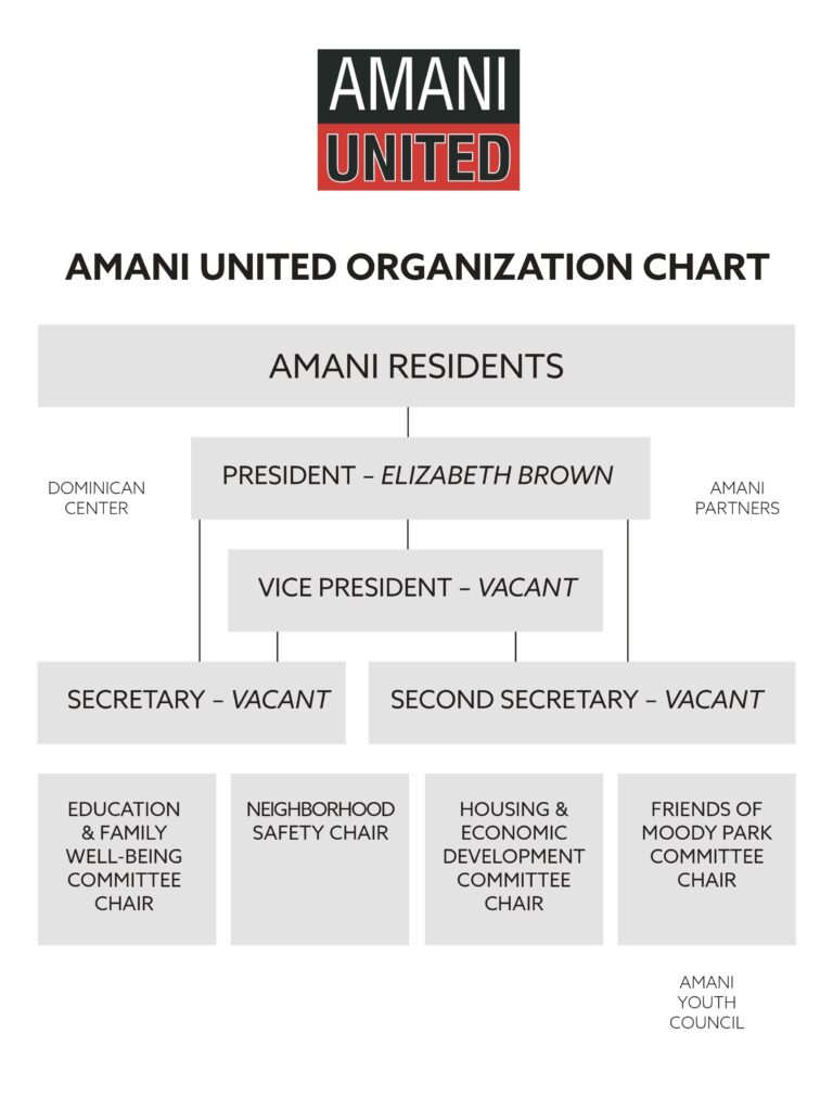 Amani United organization chart